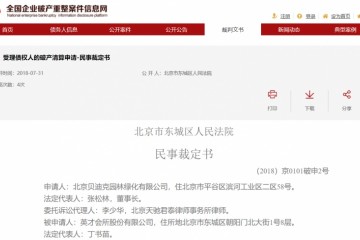 丁书苗会所流拍背后：资不抵债破产 曾欲打造顶级俱乐部