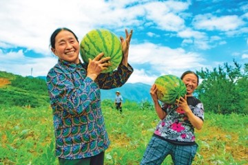 干部带好头村民跟着走（扶贫印记）